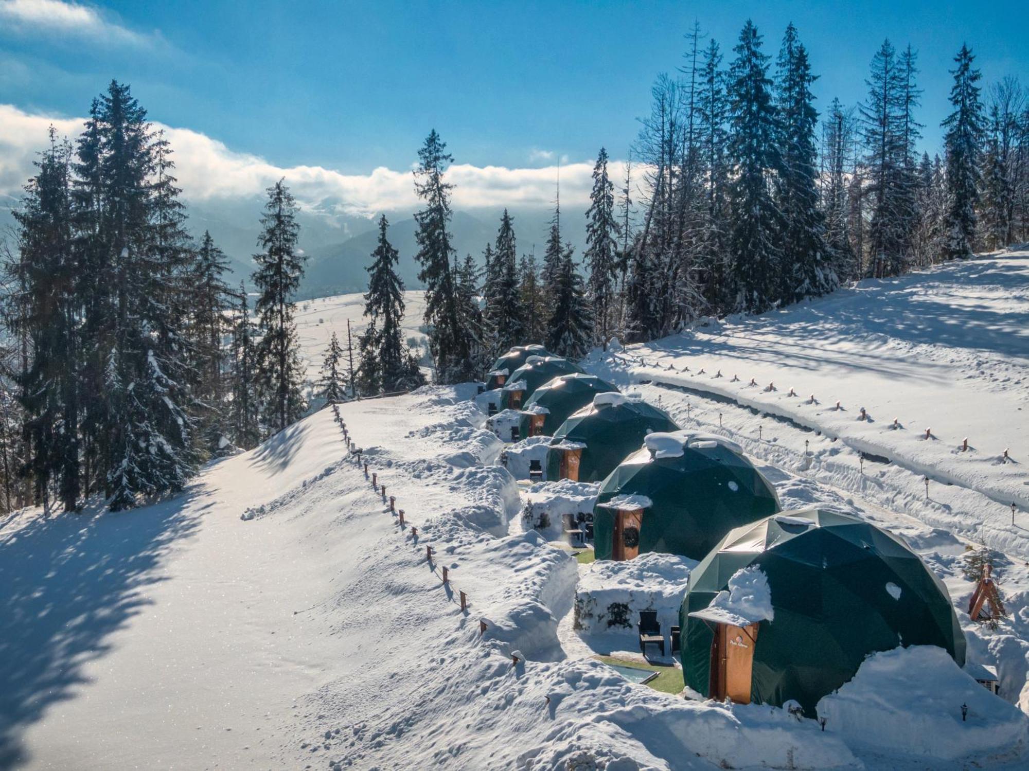 Готель Peak Glamp & Jacuzzi Закопане Екстер'єр фото